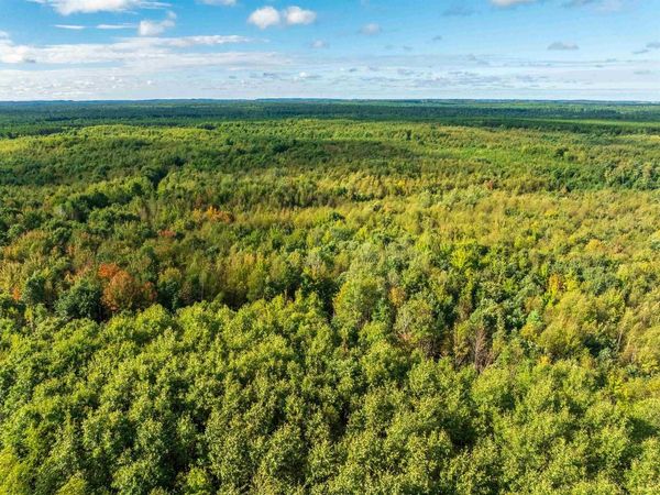 204.74 AC Channey Rd Acres, Augusta, WI 54729