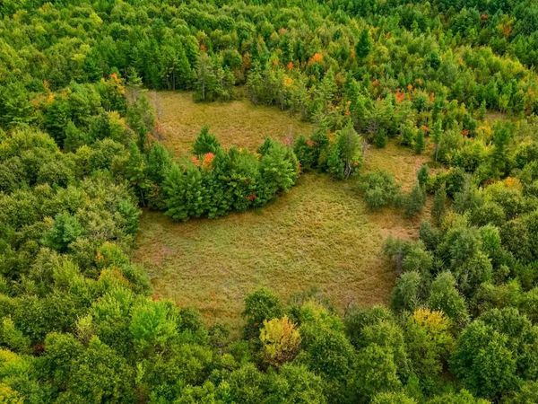 84+/- AC Horse Creek Rd Acres, Augusta, WI 54729