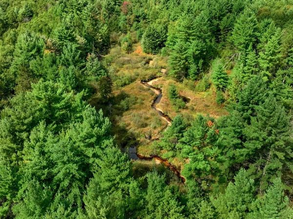 160+/- AC Goat Ranch Rd Acres, Augusta, WI 54729