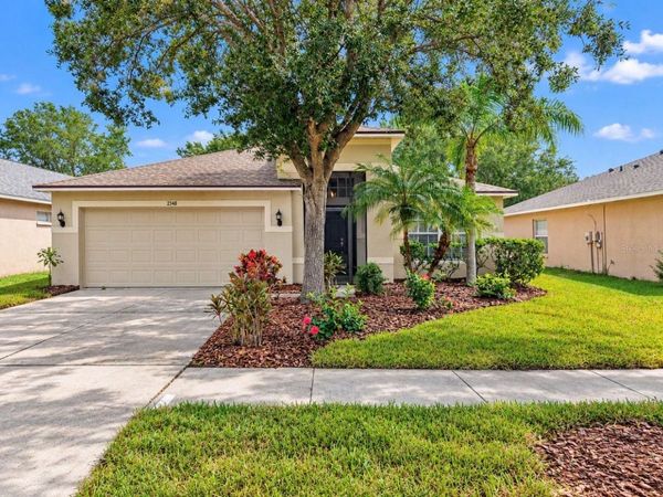 2348 ROANOKE SPRINGS DRIVE , RUSKIN, FL 33570
