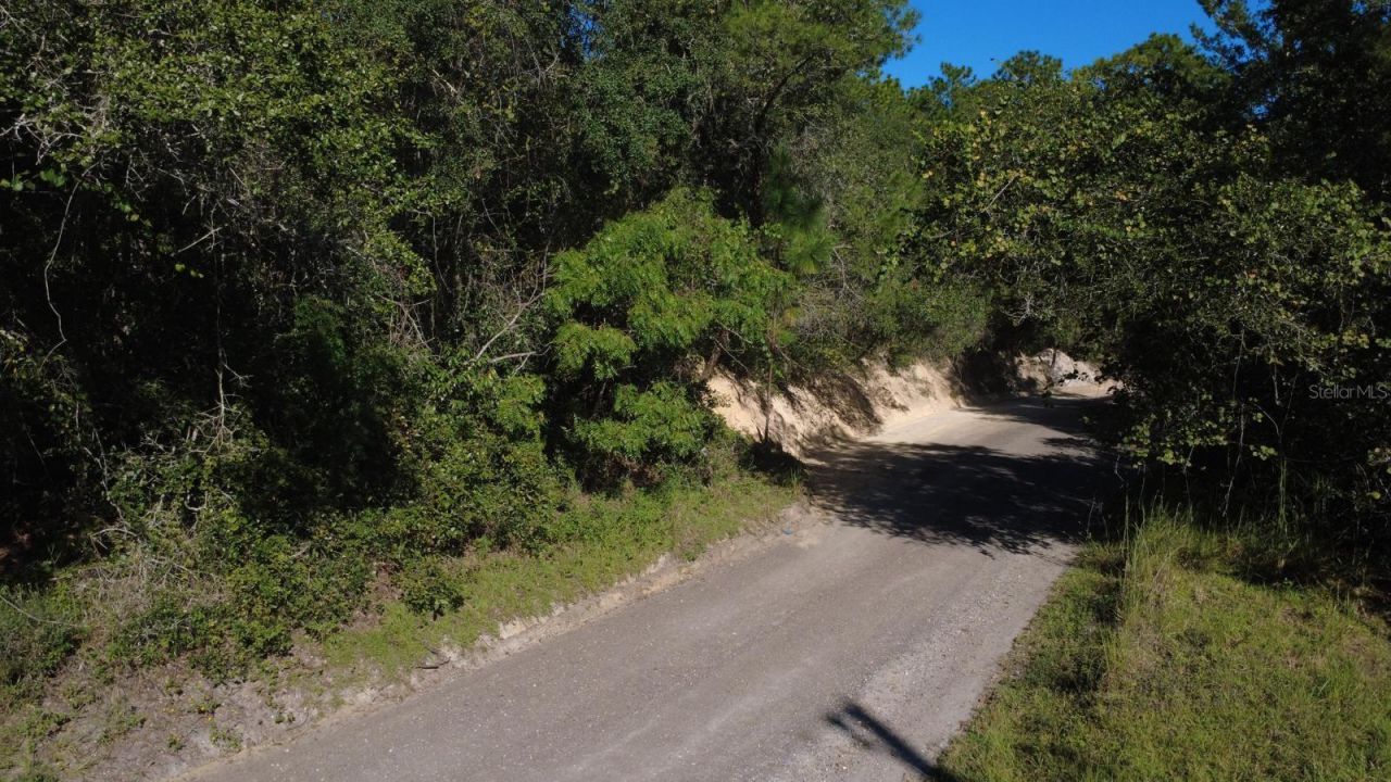 Old Enterprise Road, Lake Helen, FL 32744 Photo