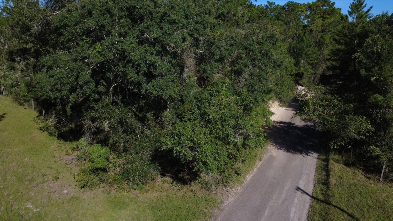 Old Enterprise Road, Lake Helen, FL 32744 Photo