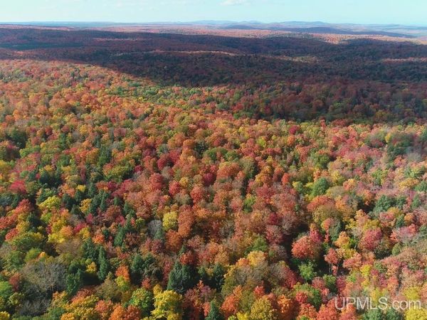 80 acres Co Rd 510 Road, Ishpeming Twp, MI 49849
