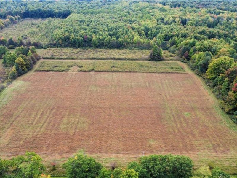 V/L 3 Balch Road, Leroy, OH 44086 Photo 7
