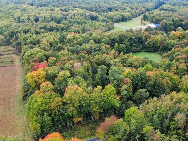 V/L 1 Balch Road, Leroy, OH 44086 Photo 4