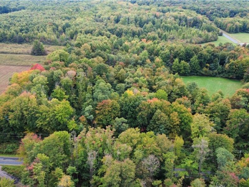 V/L 1 Balch Road, Leroy, OH 44086 Photo 5