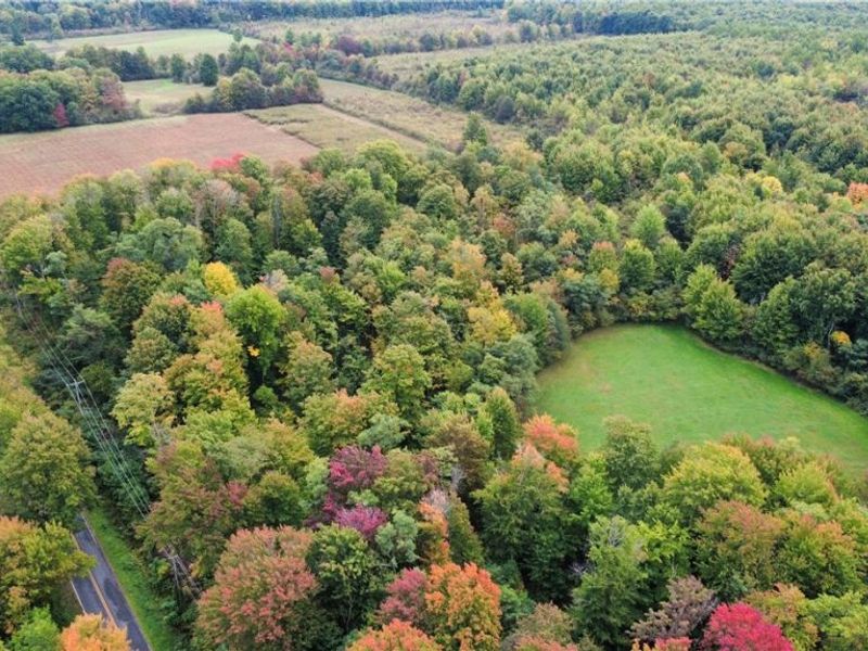 V/L 1 Balch Road, Leroy, OH 44086 Photo 6