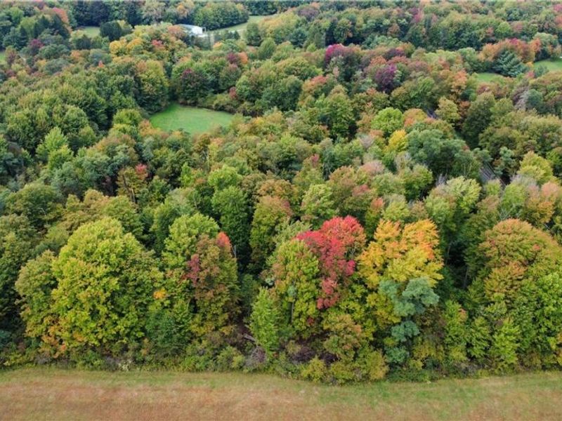 V/L 1 Balch Road, Leroy, OH 44086 Photo 7