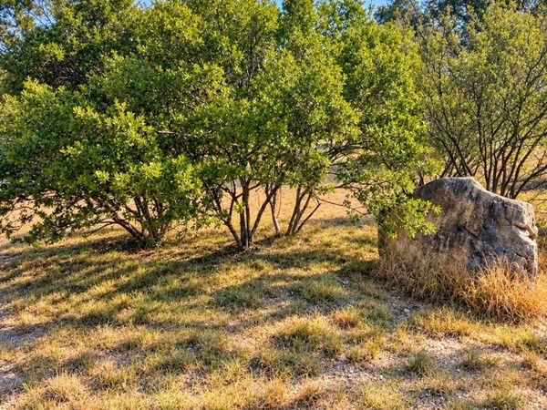 1701 Fox Foot , Horseshoe Bay, TX 78657