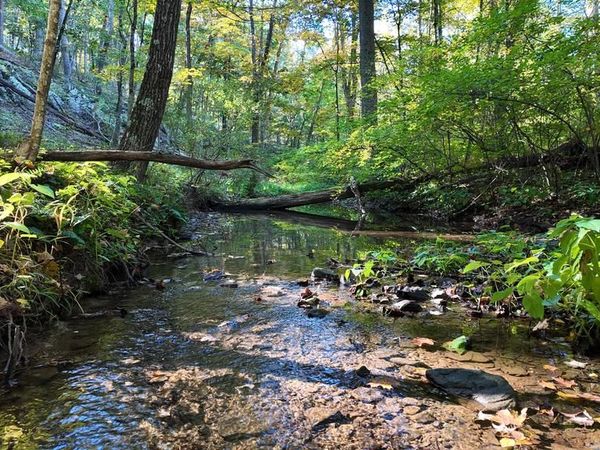COLD RUN VALLEY ROAD, BERKELEY SPRINGS, WV 25411