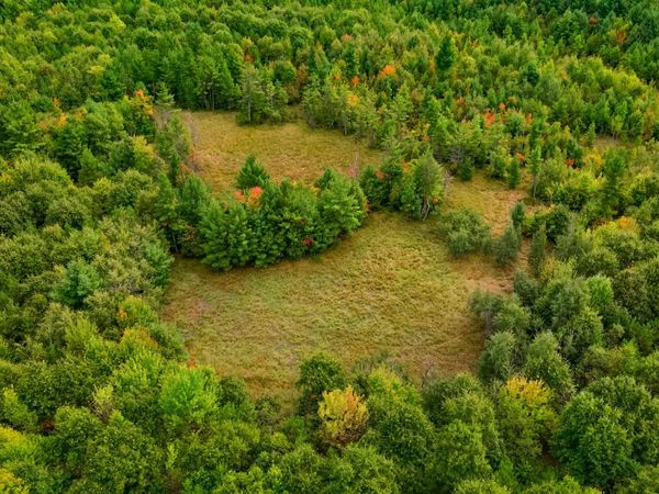 84+/- AC Horse Creek Rd Acres, Augusta, WI 54729