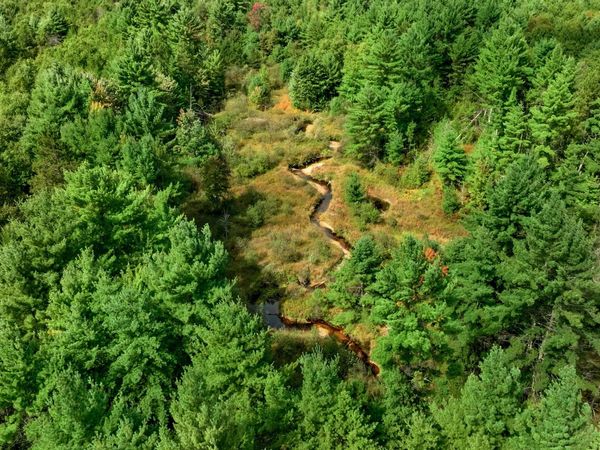 160+/- AC Goat Ranch Rd Acres, Augusta, WI 54729