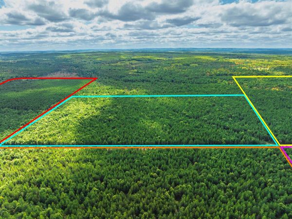 43+/- AC Horse Creek Rd Acres, Augusta, WI 54729