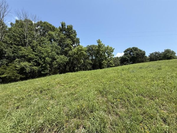 Lot 4D Gainesville Port Oliver Road , Scottsville, KY 42164