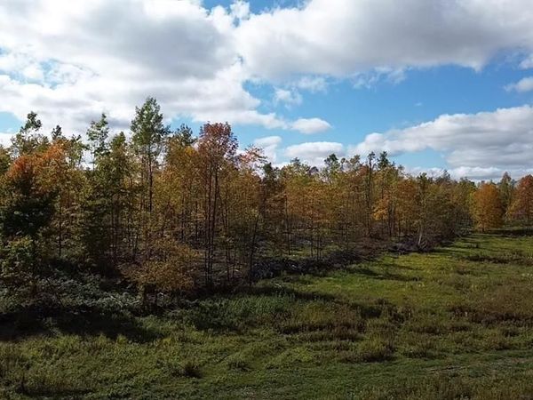 126XX Fairman Lane, Exeland, WI 54835