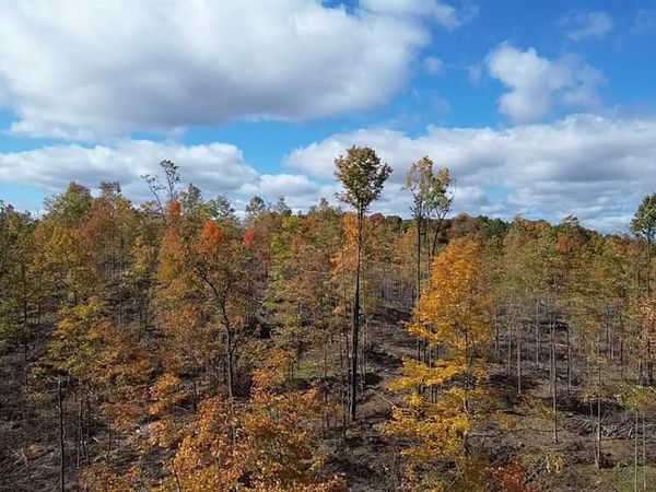 Exeland, WI 54835