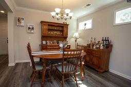 1604 Green Branch Circle photo 4