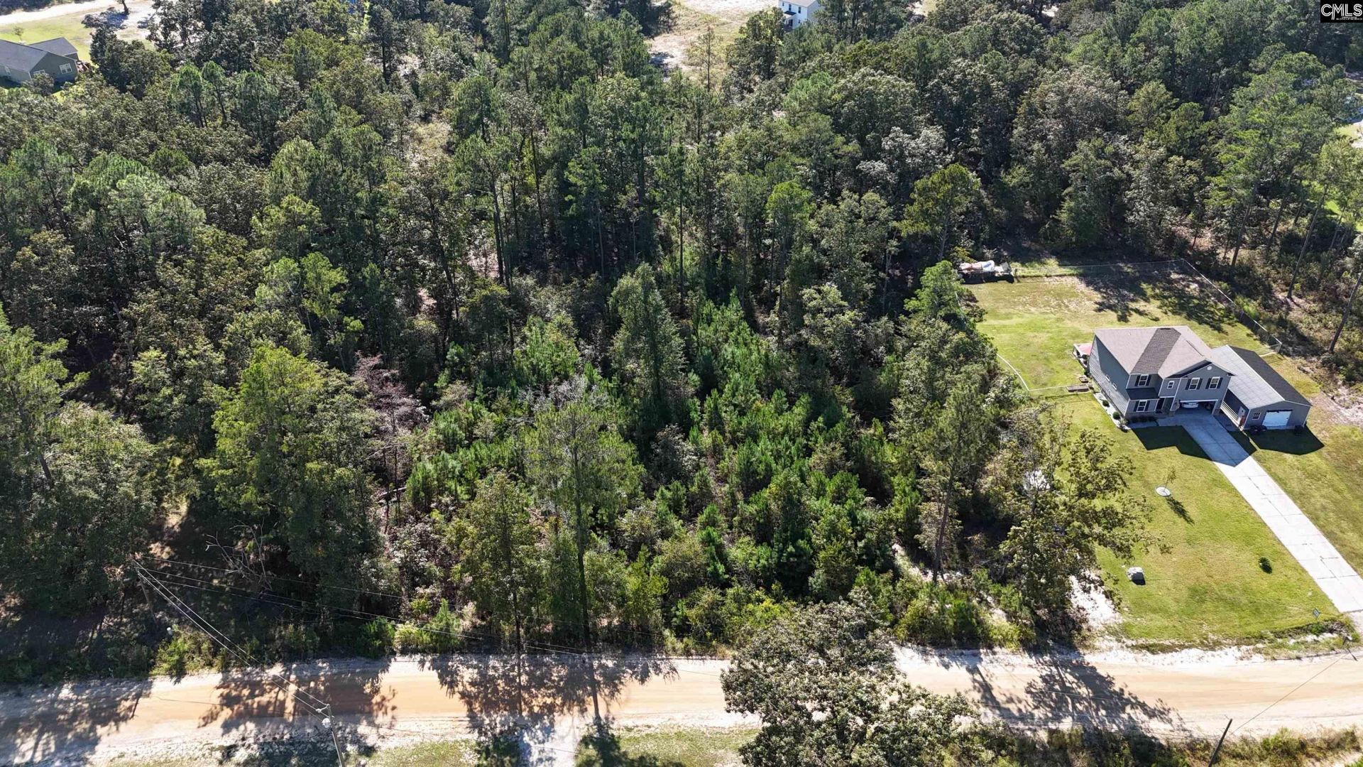 1604 Green Branch Circle Photo 43