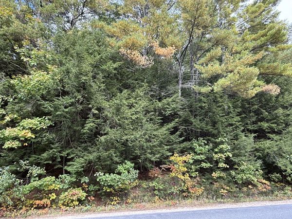 M43 L5 Shady Nook Road, Newfield, ME 04095