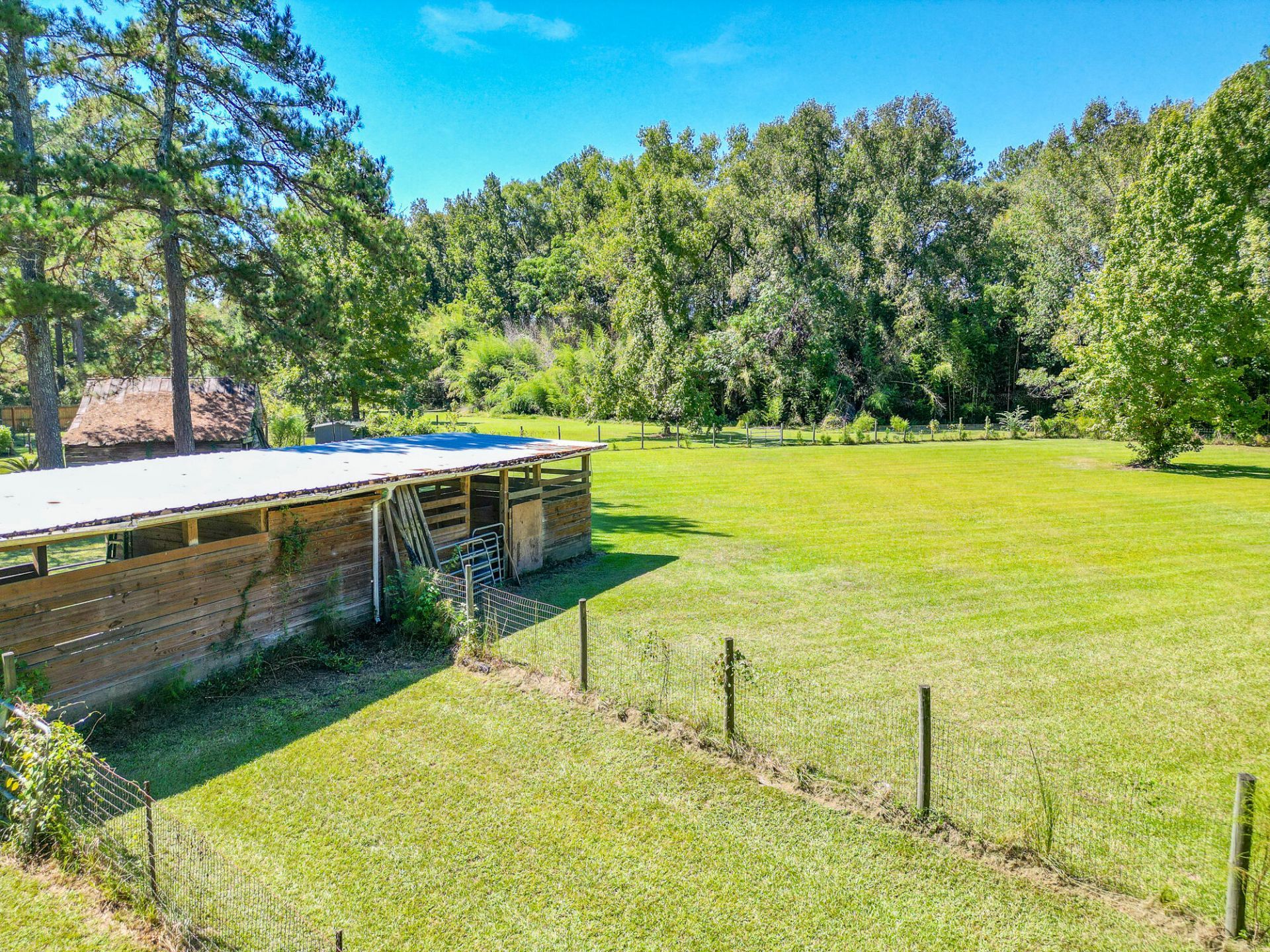 386 Rigby Road Photo 13