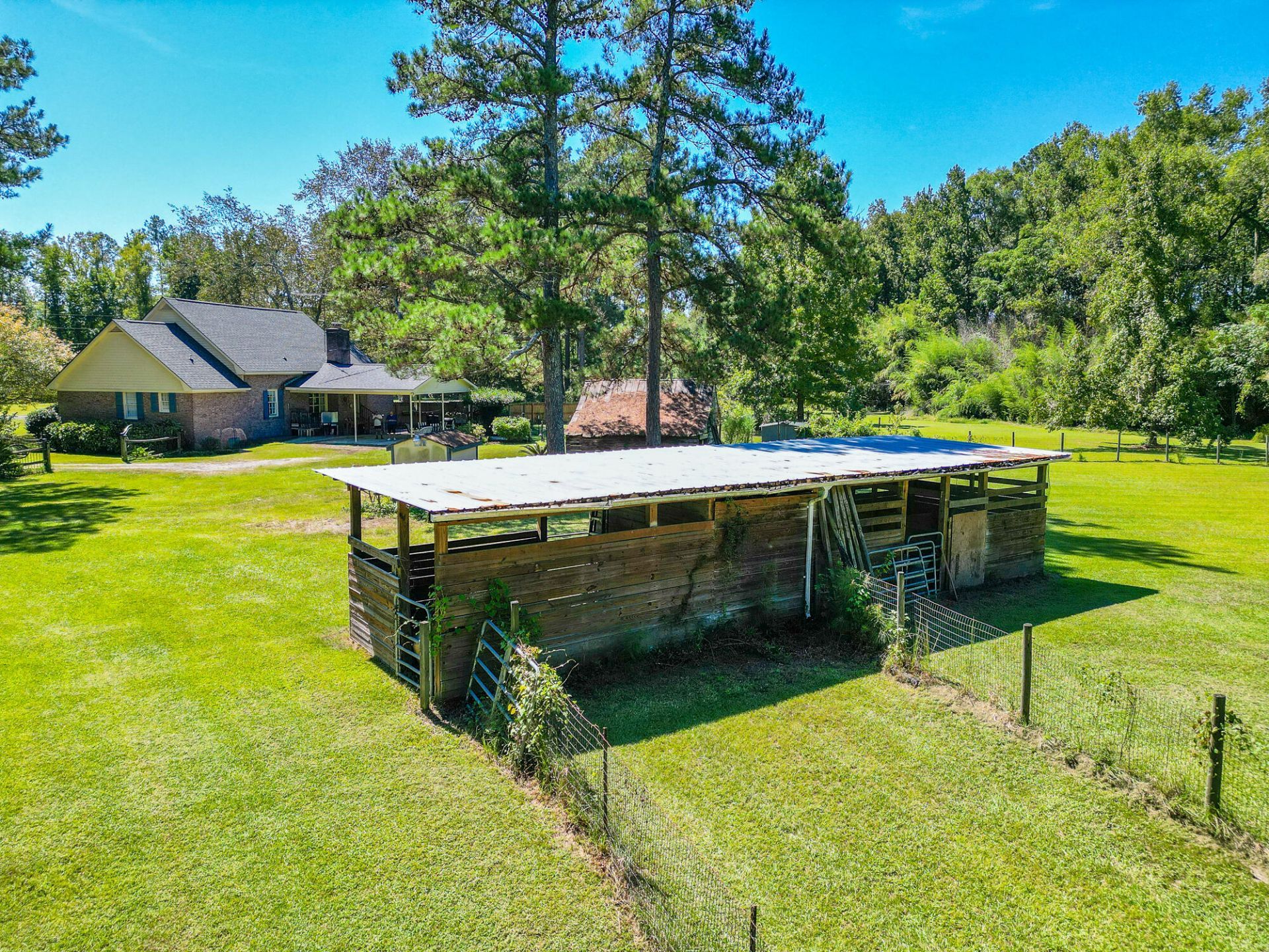 386 Rigby Road Photo 5
