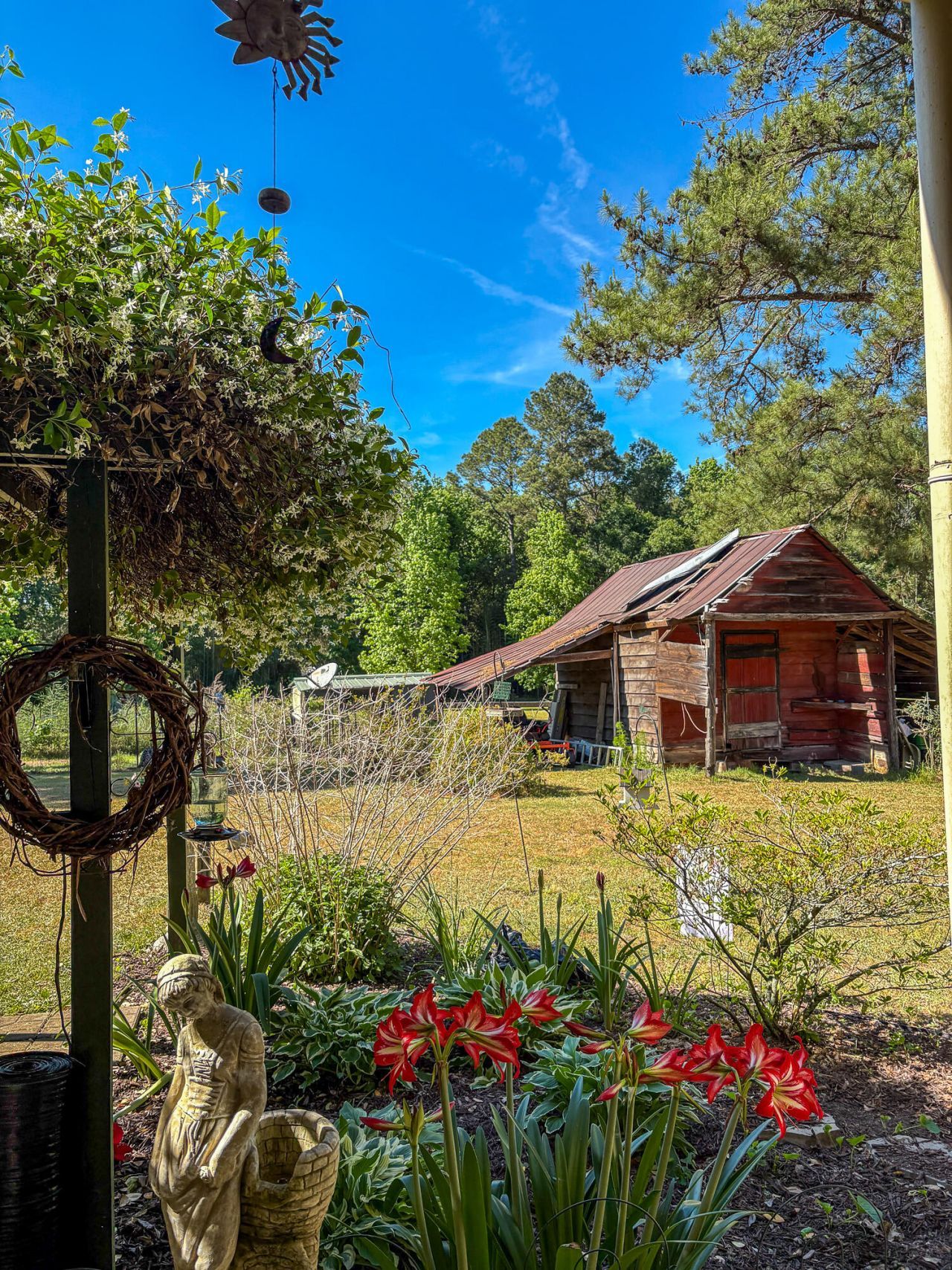 386 Rigby Road Photo 52