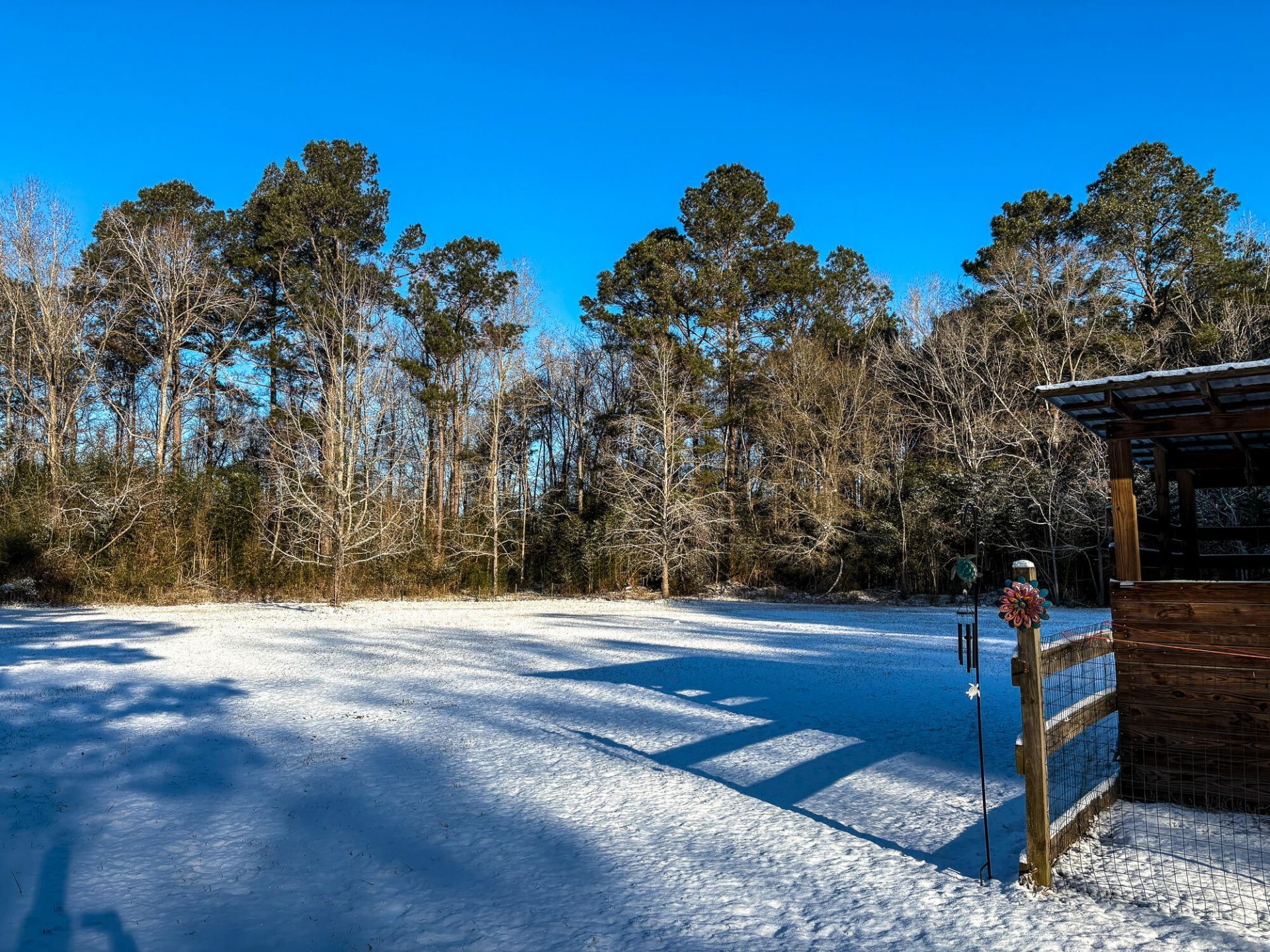 386 Rigby Road Photo 58