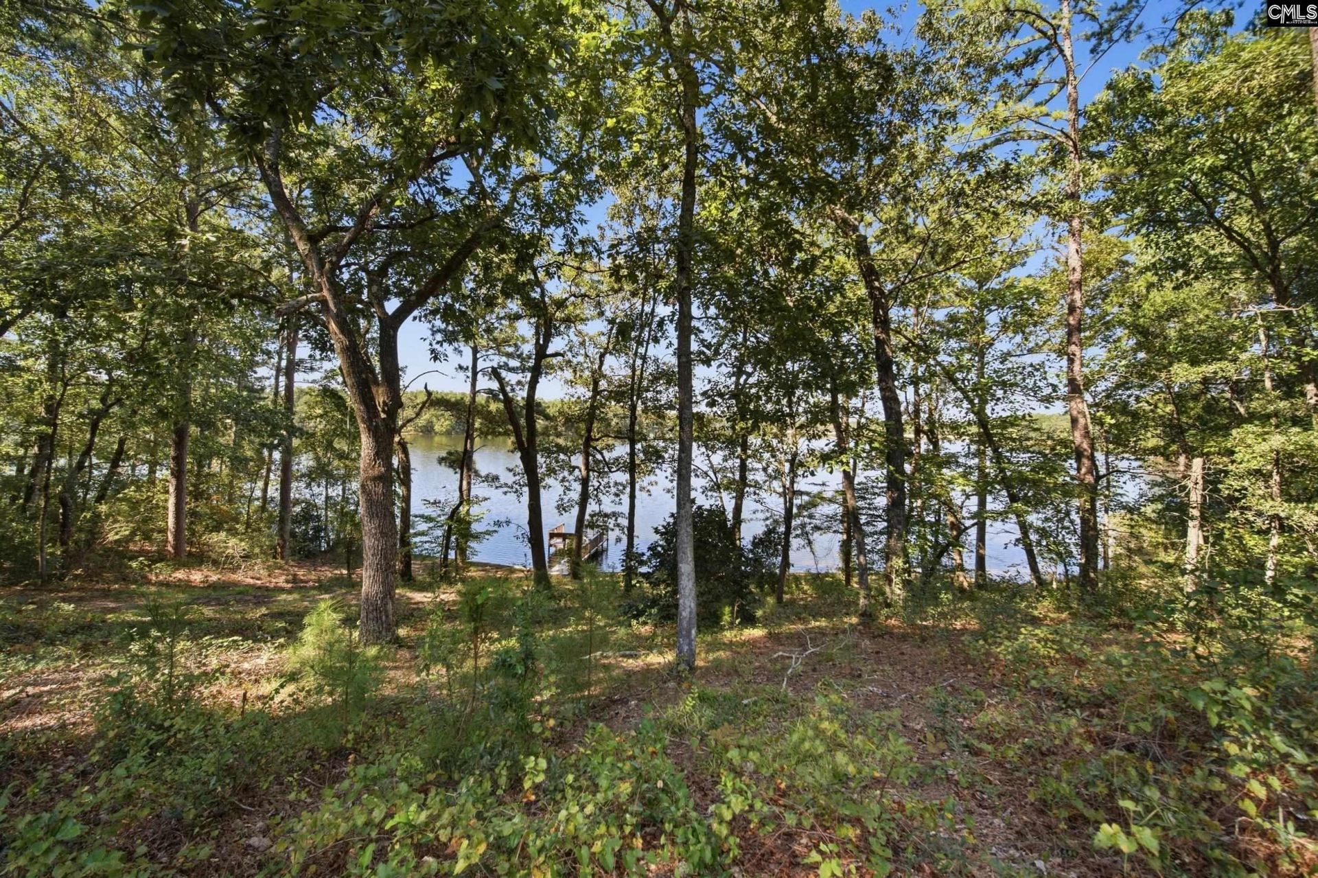 1065 Edisto Lake Road  Photo 4