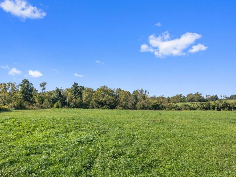 126 Robinson Hollow Road, West Union, OH 45693 Photo 16