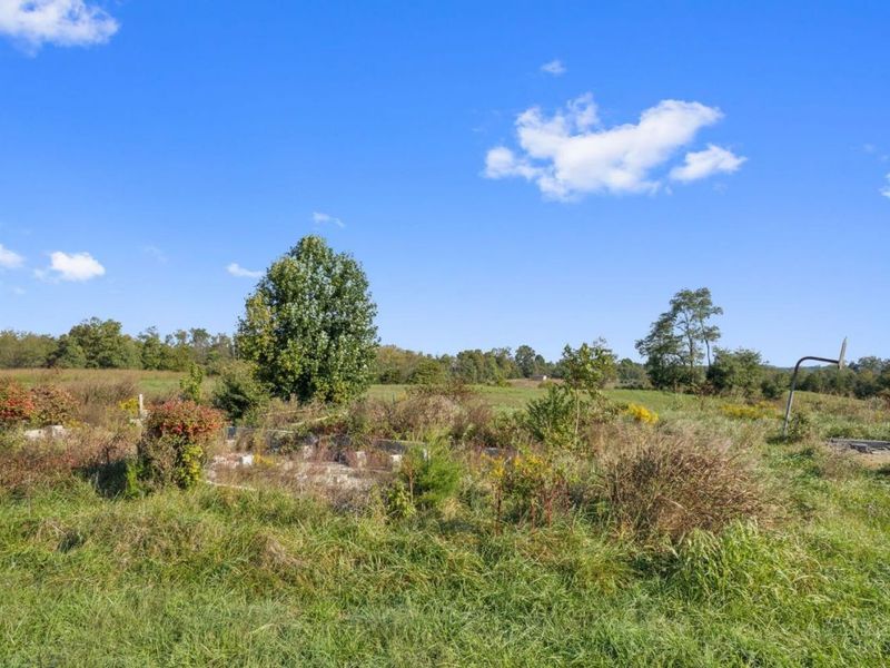 126 Robinson Hollow Road, West Union, OH 45693 Photo 7