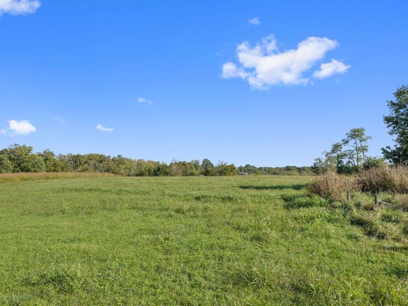 126 Robinson Hollow Road, West Union, OH 45693 Photo 8