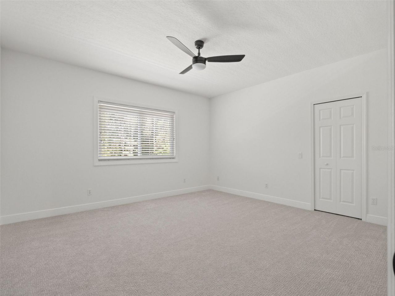 11621 Renaissance View Court, Tampa, FL 33626 Photo