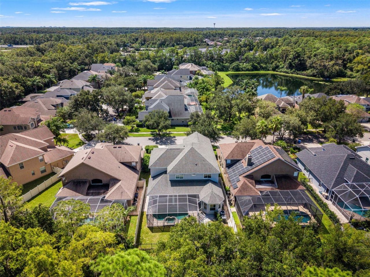 11621 Renaissance View Court, Tampa, FL 33626 Photo
