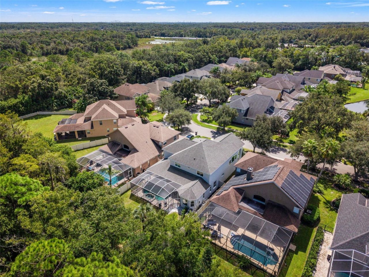 11621 Renaissance View Court, Tampa, FL 33626 Photo