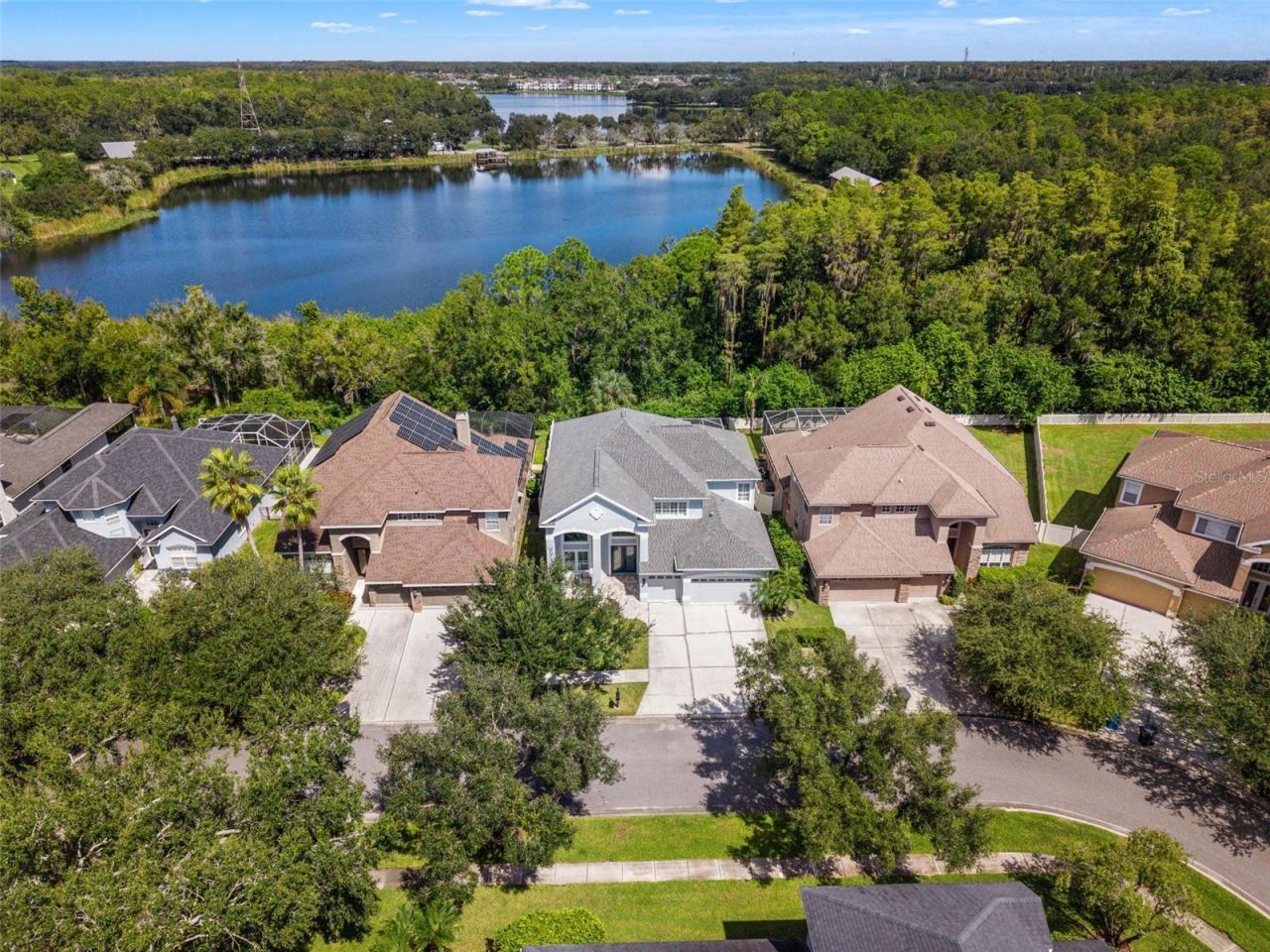 11621 Renaissance View Court, Tampa, FL 33626 Photo