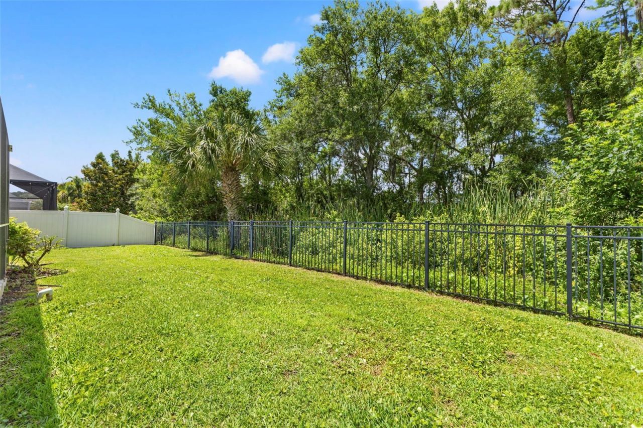 11621 Renaissance View Court, Tampa, FL 33626 Photo