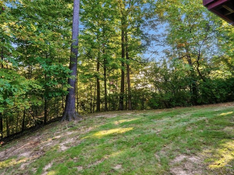 9110 Willow Creek Drive, Loveland, OH 45140 Photo 58