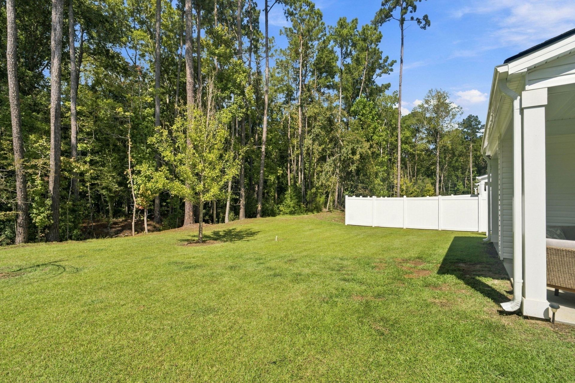 8773 Silver Perch Lane Photo 29