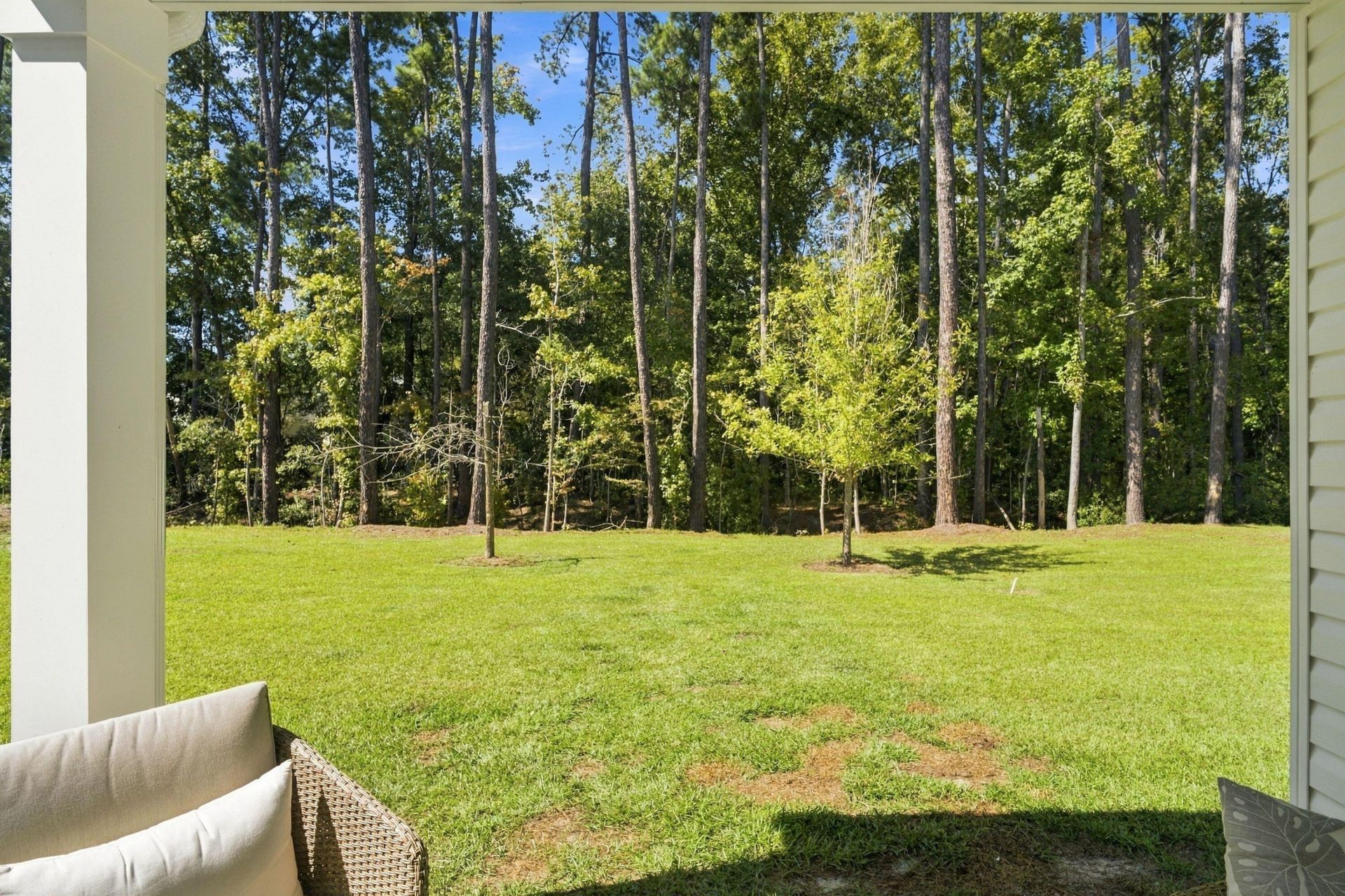 8773 Silver Perch Lane Photo 31