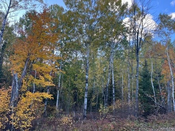 TBD S Loon Lake Rd. , Aurora, MN 55705