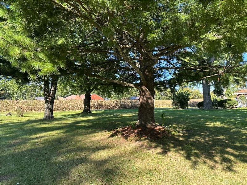 8352 Crestway Road, Clayton, OH 45315 Photo 39