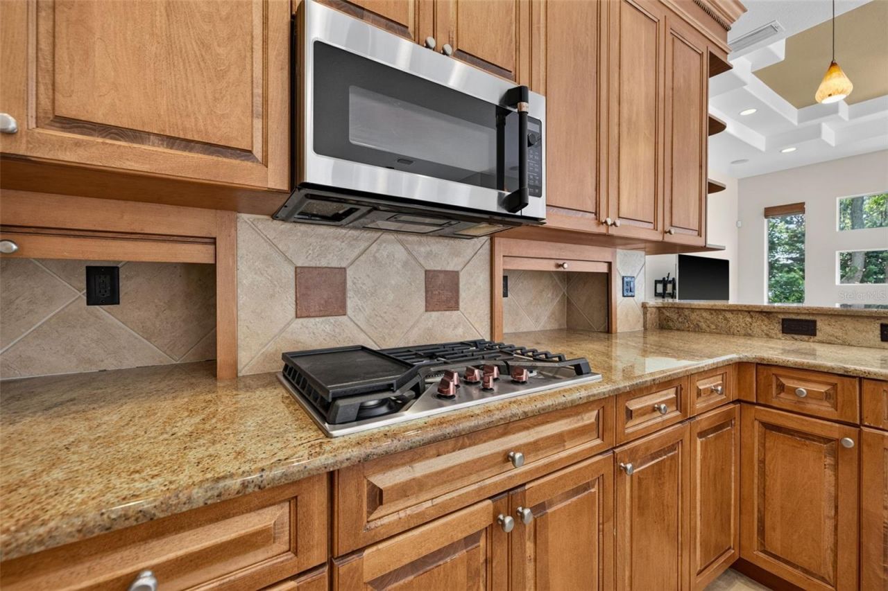 1516 Canopy Oaks Boulevard, Palm Harbor, FL 34683 Photo