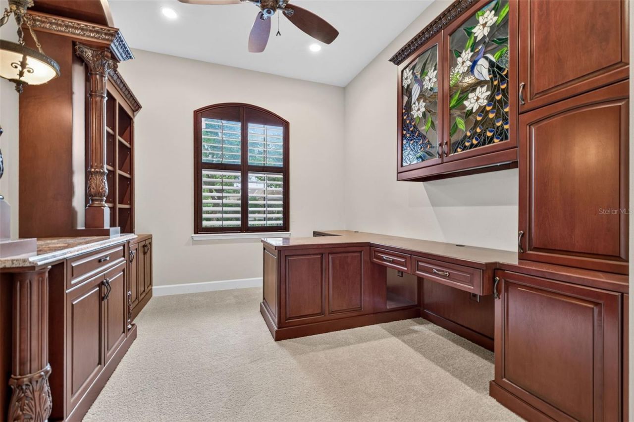 1516 Canopy Oaks Boulevard, Palm Harbor, FL 34683 Photo
