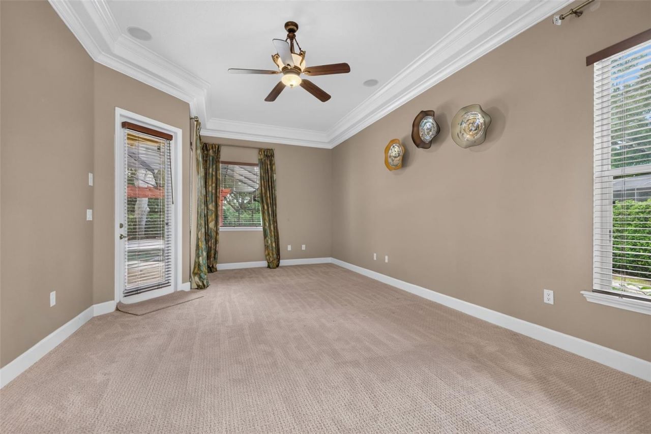 1516 Canopy Oaks Boulevard, Palm Harbor, FL 34683 Photo