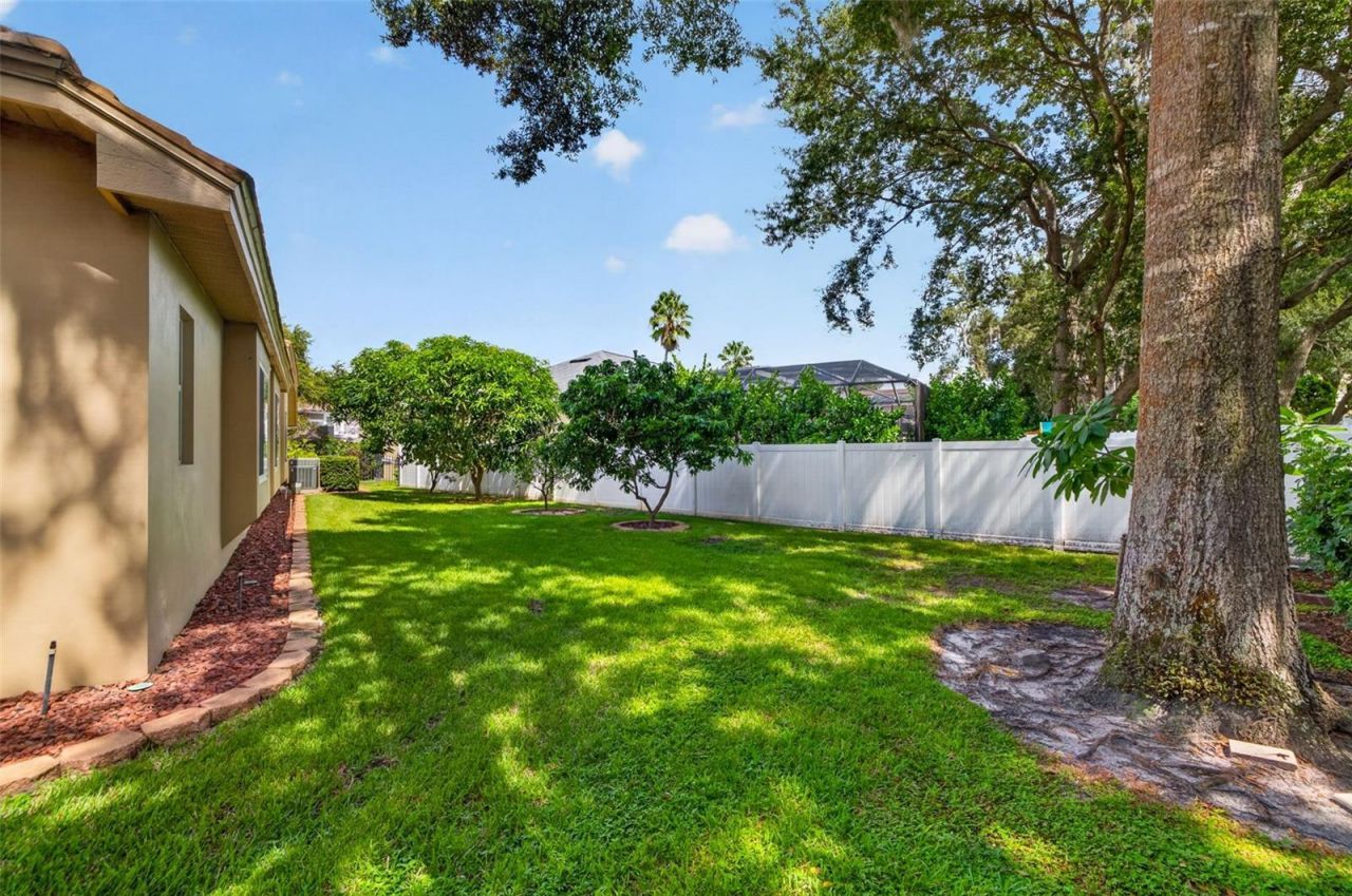 1516 Canopy Oaks Boulevard, Palm Harbor, FL 34683 Photo