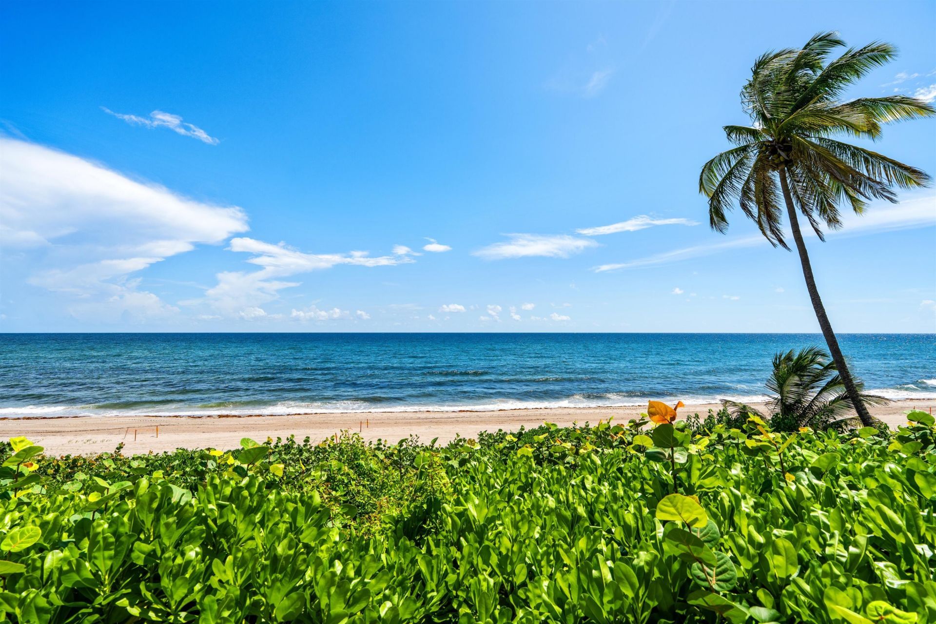 2000 N Ocean Boulevard, Unit 103, Boca Raton, FL 33431 Photo