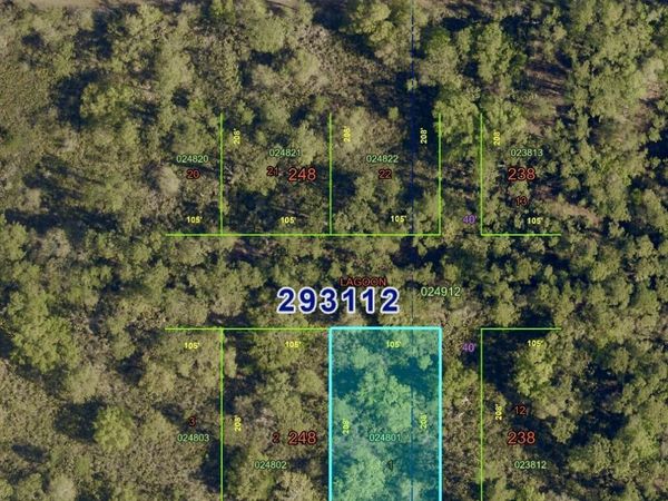 Tbd Allamanda Drive, Indian Lake Estates, FL 33855