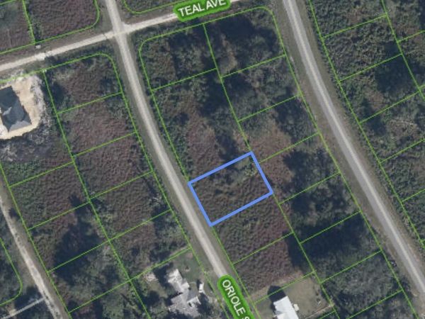 1027 ORIOLE Street, Lake Placid, FL 33852