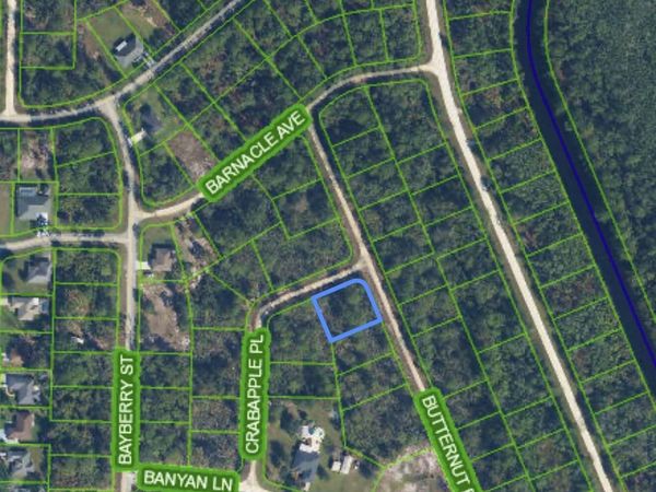 1123 CRABAPPLE Place, Lake Placid, FL 33852