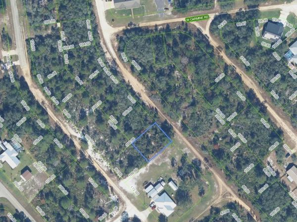 2339 N THOMSEN Road, Avon Park, FL 33825